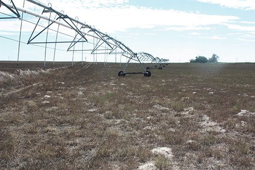Property photo 113 - LAND AUCTION, 3255+/- Acres offered in 13 Tracts